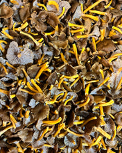 Load image into Gallery viewer, Fresh Winter Chanterelle&#39;s (Approximately 100g)
