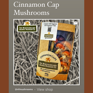 Fresh Cinnamon Cap Mushrooms (100g)