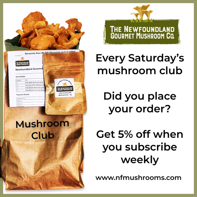 Mushroom Club Basket