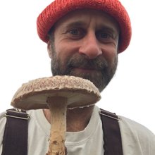 Load image into Gallery viewer, Fresh Shiitake Mushrooms (100g)
